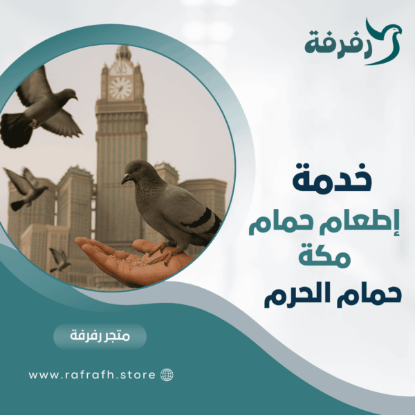 خدمة إطعام حمام مكة